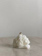 将图片加载到图库查看器,Lion White