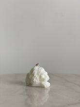 将图片加载到图库查看器,Lion White