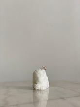 将图片加载到图库查看器,Lion White