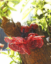 Cargar imagen en el visor de la galería, Moutan Peony Earrings