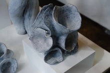 将图片加载到图库查看器,Fantastic Fungi Decor