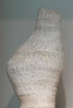 将图片加载到图库查看器,Gin Pots